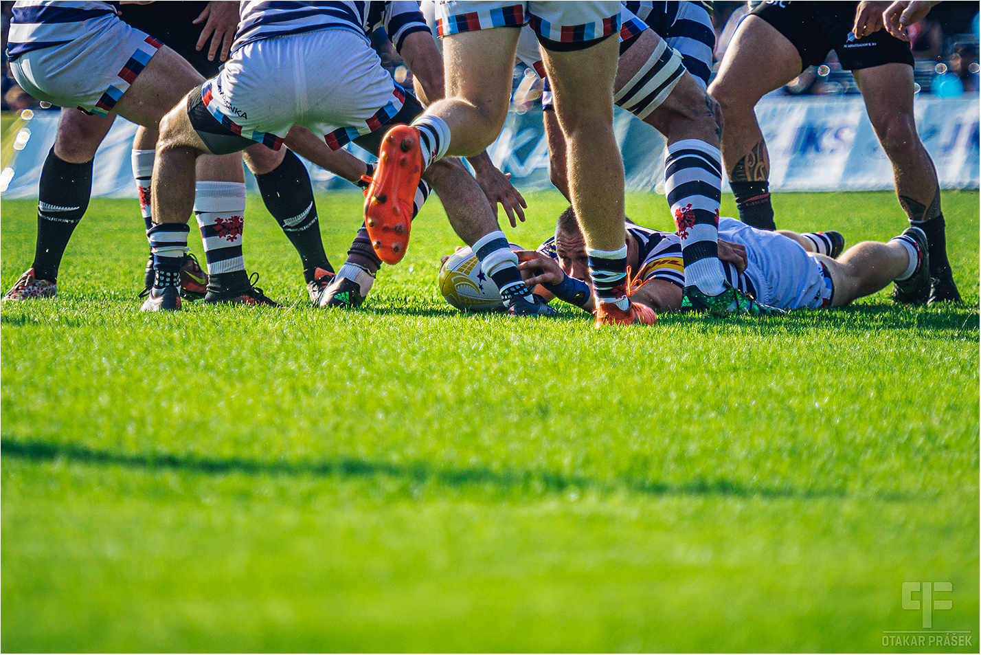 Rugby 15s Muži: Přátelské utkání - Přátelské utkání:
