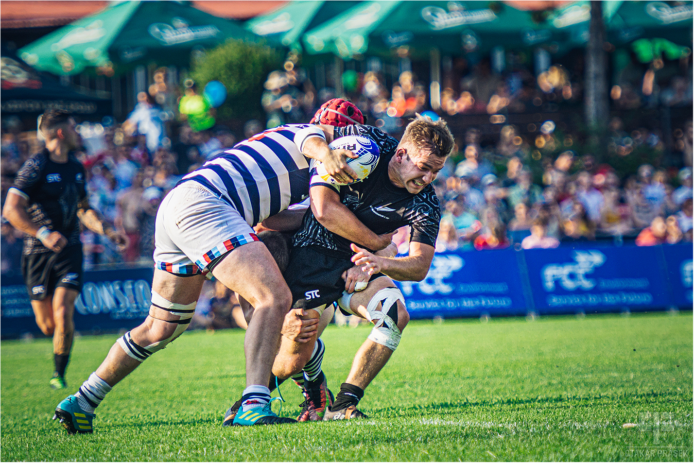 Rugby 15s Muži: Přátelské utkání - Přátelské utkání: